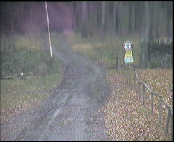 Nástup na běžecké tratě