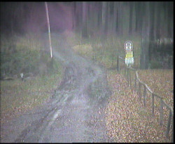 Nástup na běžecké tratě