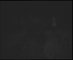 Nástup na běžecké tratě