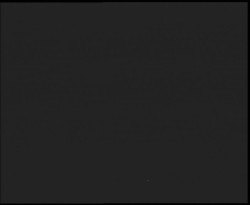 Nástup na běžecké tratě