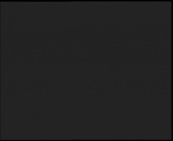 Nástup na běžecké tratě