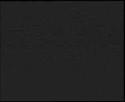 Nástup na běžecké tratě