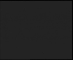 Nástup na běžecké tratě