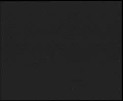 Nástup na běžecké tratě