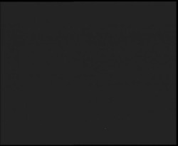 Nástup na běžecké tratě