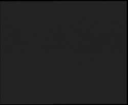 Nástup na běžecké tratě