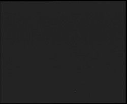 Nástup na běžecké tratě