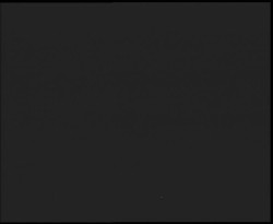 Nástup na běžecké tratě