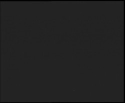 Nástup na běžecké tratě