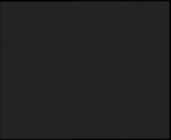 Nástup na běžecké tratě