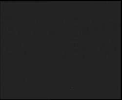 Nástup na běžecké tratě