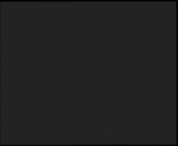 Nástup na běžecké tratě