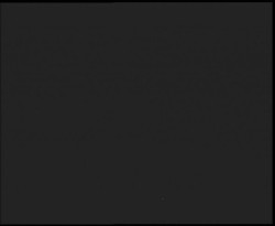 Nástup na běžecké tratě