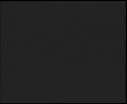 Nástup na běžecké tratě