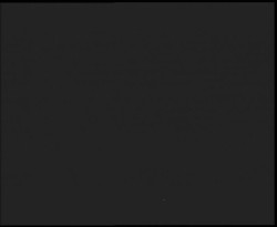 Nástup na běžecké tratě