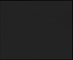 Nástup na běžecké tratě