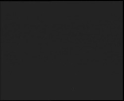 Nástup na běžecké tratě