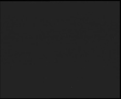 Nástup na běžecké tratě