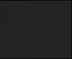 Nástup na běžecké tratě