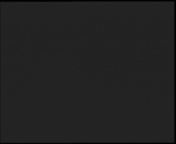 Nástup na běžecké tratě