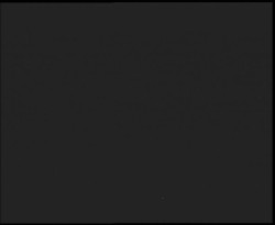 Nástup na běžecké tratě