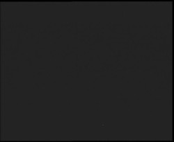 Nástup na běžecké tratě