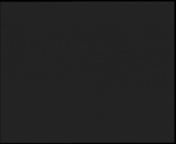 Nástup na běžecké tratě