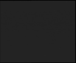 Nástup na běžecké tratě