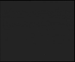 Nástup na běžecké tratě