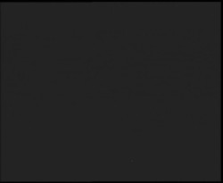 Nástup na běžecké tratě