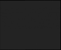 Nástup na běžecké tratě