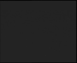 Nástup na běžecké tratě