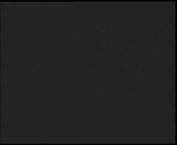 Nástup na běžecké tratě