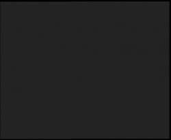 Nástup na běžecké tratě