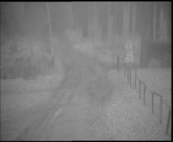 Nástup na běžecké tratě