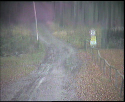 Nástup na běžecké tratě