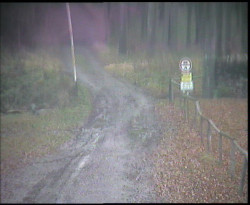 Nástup na běžecké tratě