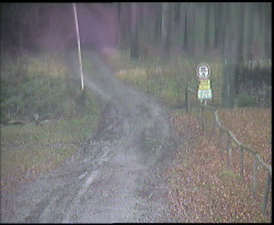 Nástup na běžecké tratě