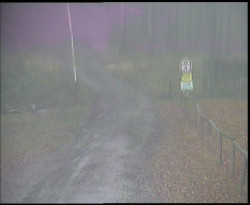 Nástup na běžecké tratě