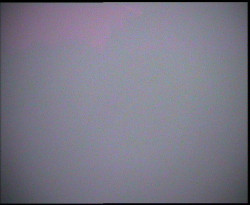 Nástup na běžecké tratě