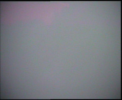 Nástup na běžecké tratě