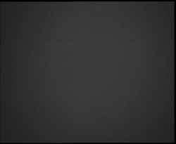 Nástup na běžecké tratě