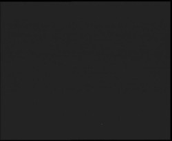 Nástup na běžecké tratě