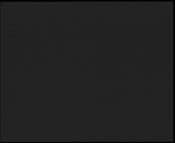 Nástup na běžecké tratě