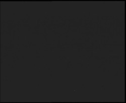 Nástup na běžecké tratě