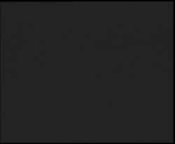 Nástup na běžecké tratě