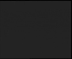 Nástup na běžecké tratě