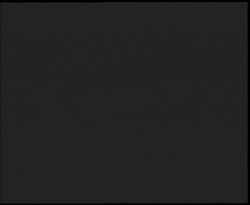 Nástup na běžecké tratě