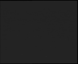 Nástup na běžecké tratě