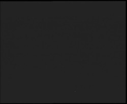 Nástup na běžecké tratě